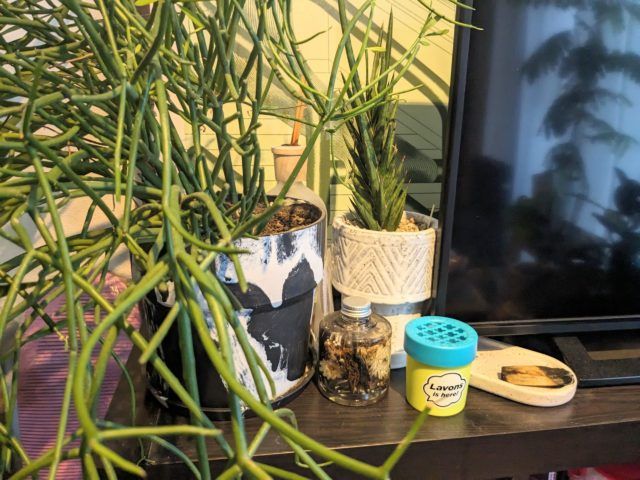 ラボンデブーンリビングに