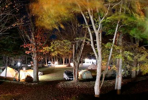 「一度は行くべき」GW〜初夏のキャンプに！編集部のおすすめキャンプ場4選