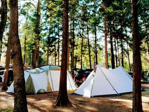 「一度は行くべき」GW〜初夏のキャンプに！編集部のおすすめキャンプ場4選