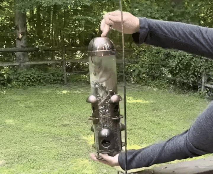 どうやって入ったの!? 鳥さんのエサ箱のなかにムギュっと詰まっていたのは