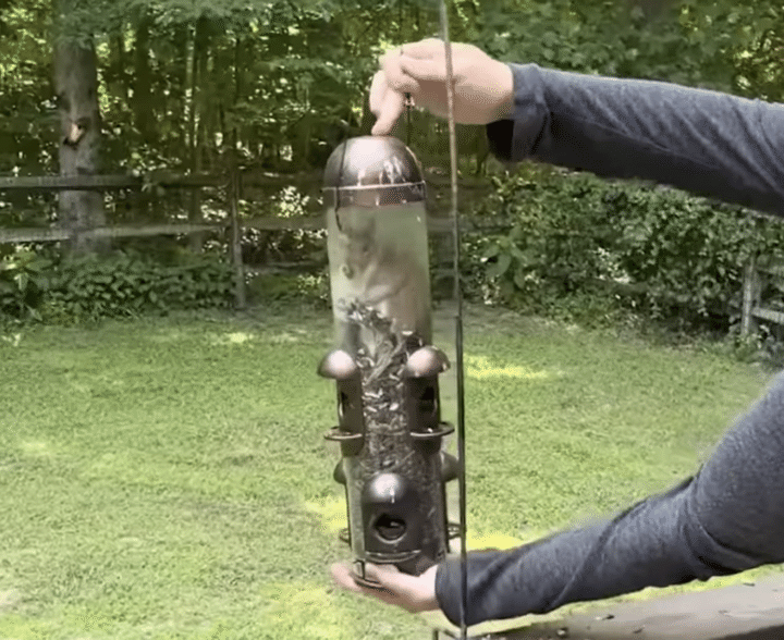 どうやって入ったの!? 鳥さんのエサ箱のなかにムギュっと詰まっていたのは