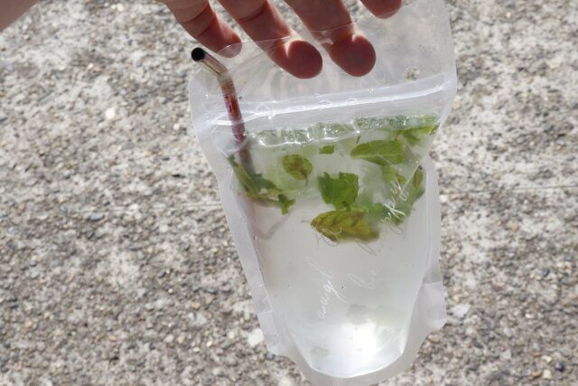 ダイソーのドリンクパウチジップタイプは飲み物をお洒落に持ち運べる