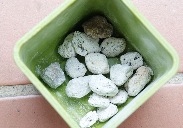 100均セリアのストーン風プランター