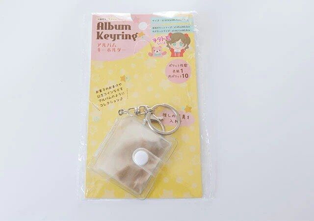 セリアのアルバムキーホルダー