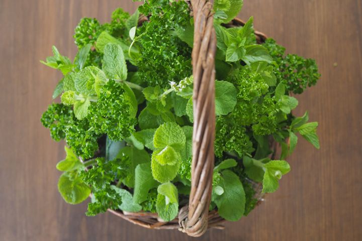 ５、 スポンジが８割程度見えなくなるまで、葉類を挿します