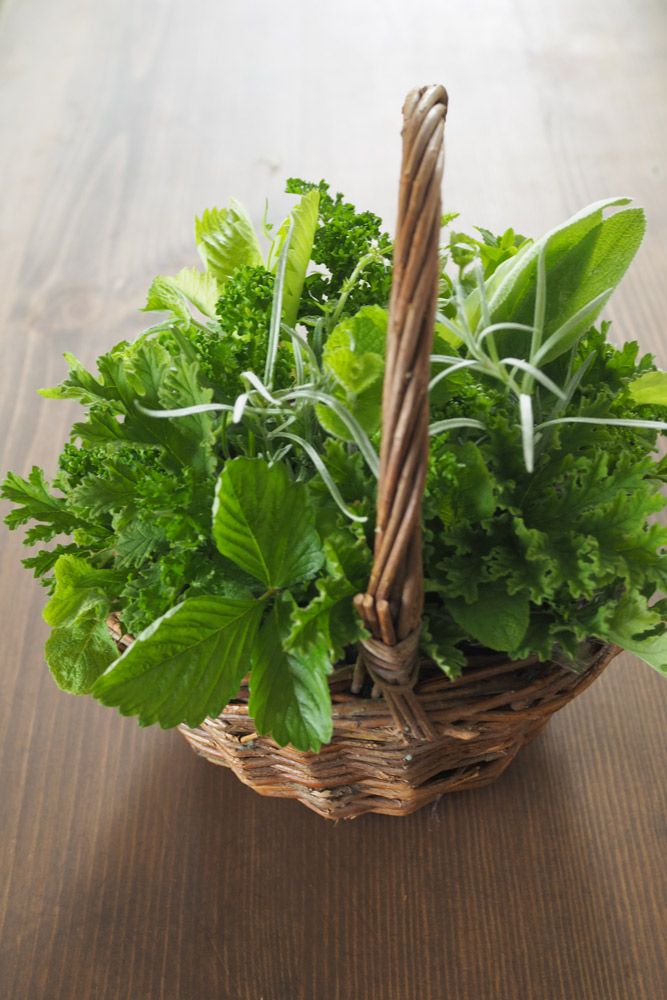 色や形の違う葉類を加えていきます