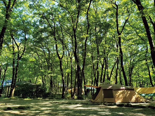 関東のキャンプ場なら絶対にここ！GW〜初夏に行くべきおすすめキャンプ場4選