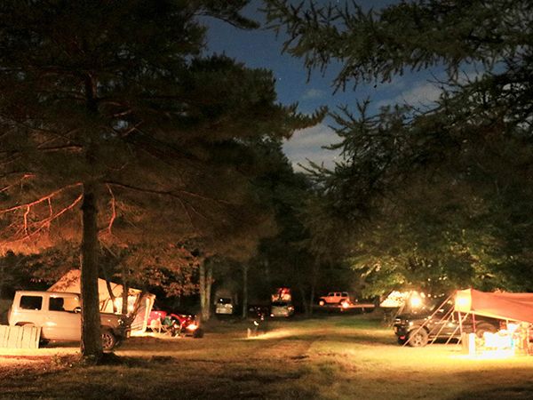 関東のキャンプ場なら絶対にここ！GW〜初夏に行くべきおすすめキャンプ場4選