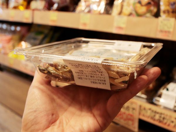 「初心者キャンパー必見！」キャンプって何から準備すればいいの？の疑問を解決！