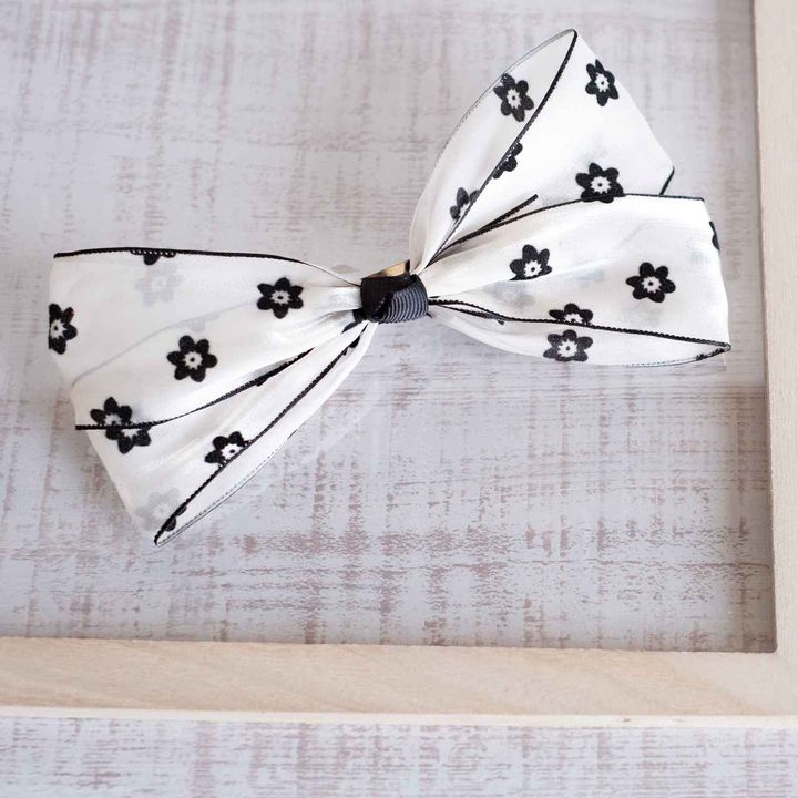 画像1: 出典：ftn_pics