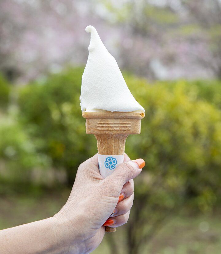 アンデルセン童話の世界感や季節の花が迎えてくれる♪ 千葉「ふなばしアンデルセン公園」へ