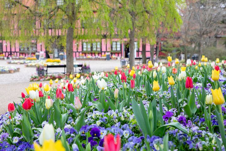 アンデルセン童話の世界感や季節の花が迎えてくれる♪ 千葉「ふなばしアンデルセン公園」へ