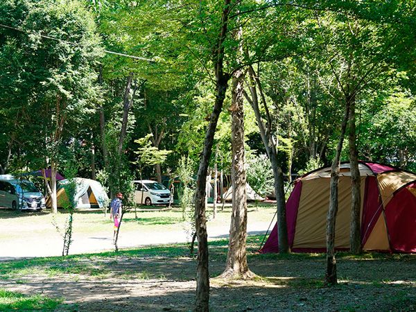 GW〜初夏に行くべき！初心者キャンパーも安心のおすすめ高規格キャンプ場5選
