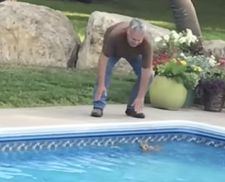 なにかが溺れてる！？ 男性が素早い判断で救出！