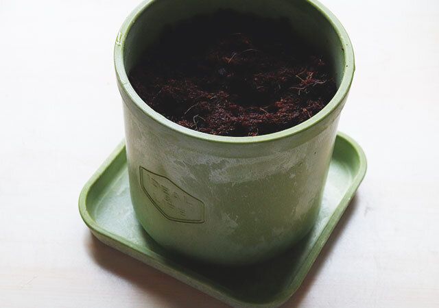 セリアのストーン風プランター 丸型とストーン風プランター用受皿 角型の使用例