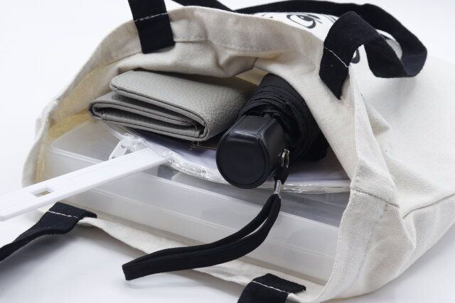 ダイソーのトートバッグ（ミッキー）に荷物を収納