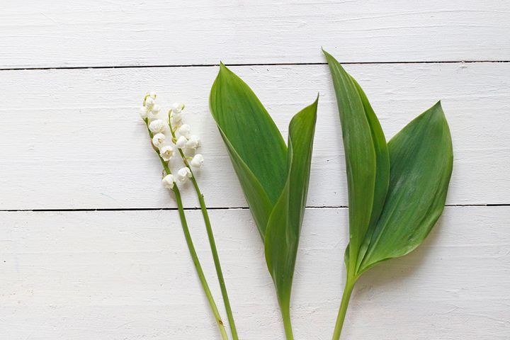 スズランのアレンジ