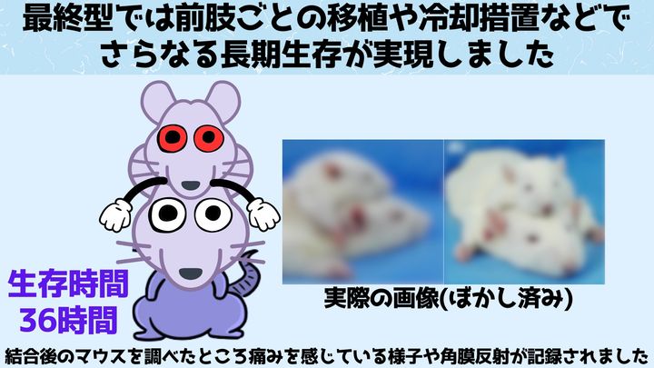 最終の発展型は4本の前肢を備えている