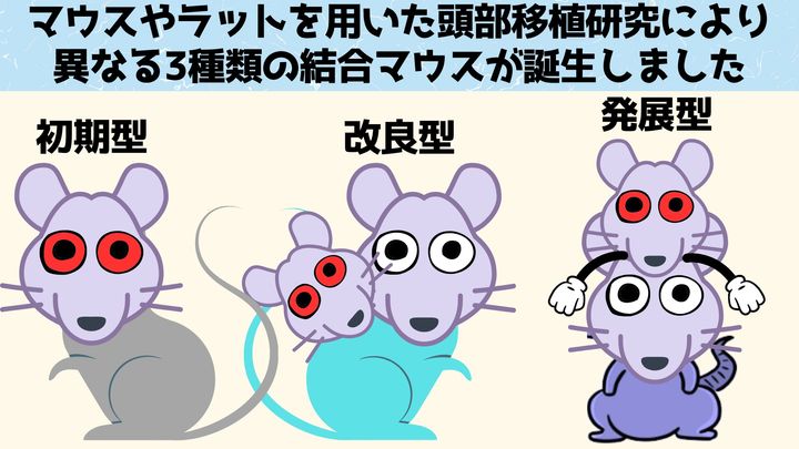 3種類の結合マウス