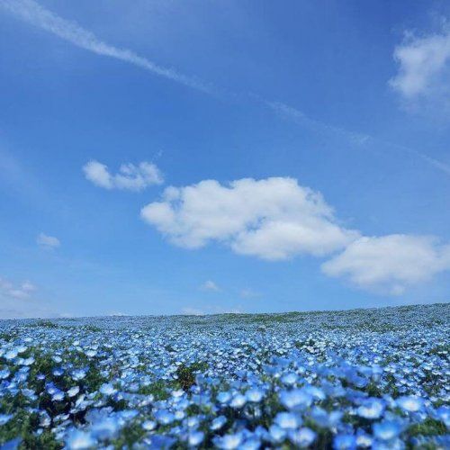 GWお出かけスポット_2