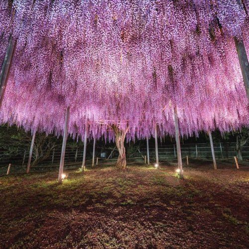 GWお出かけスポット_10