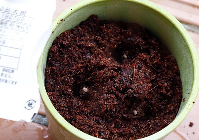 ダイソーの紅白20日大根の使用例