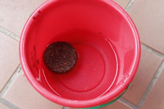 圧縮ココピートを水で戻す