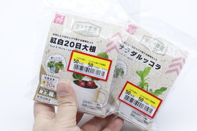 ダイソーの園芸キットは半額になることがある