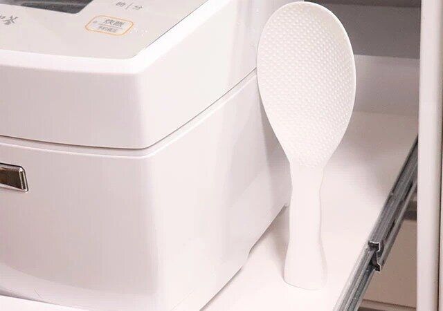 ダイソーの立つしゃもじ（wavy）を立てて保管