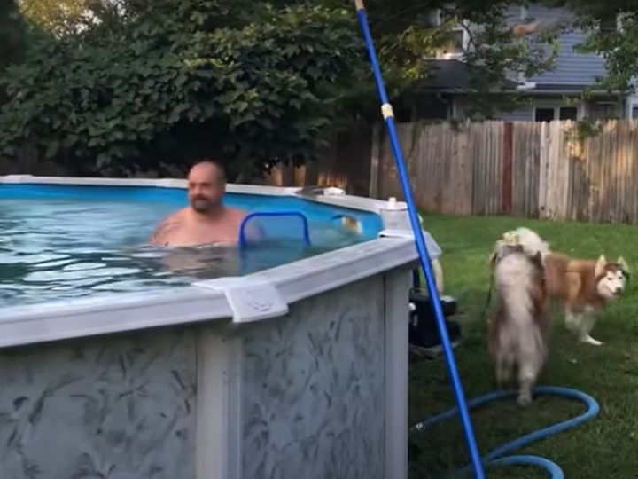 プールに入りたくてたまらない！？