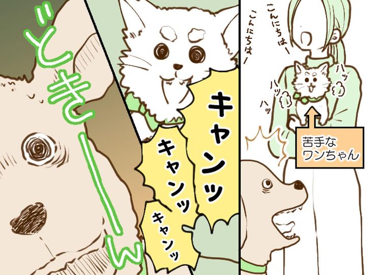 画像: 愛犬が散歩中に突然──！猛スピードで道路に飛び出し【あわや大事故】原因は → 使い慣れた道具だった！？