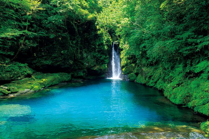 高知県の仁淀川