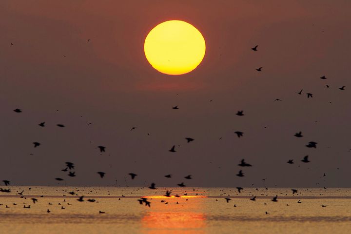 北海道の天売島から見える夕日