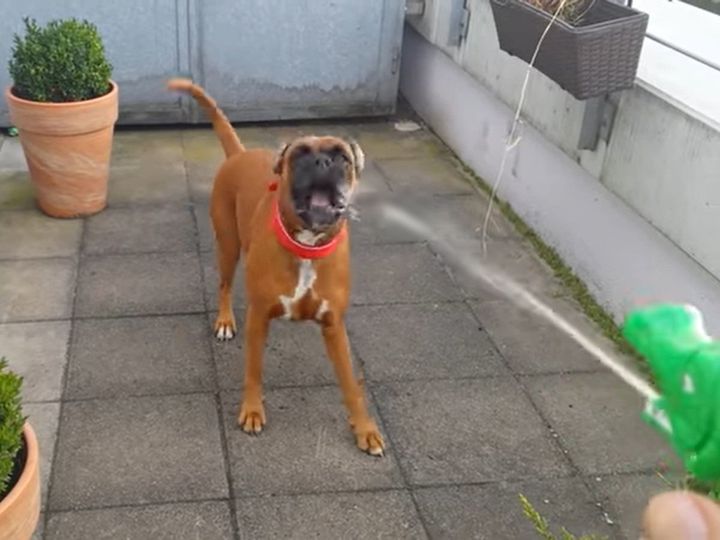 口で受け止める…だと…！