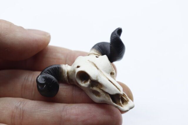 セリアのリトルフレンズ アニマルスカル