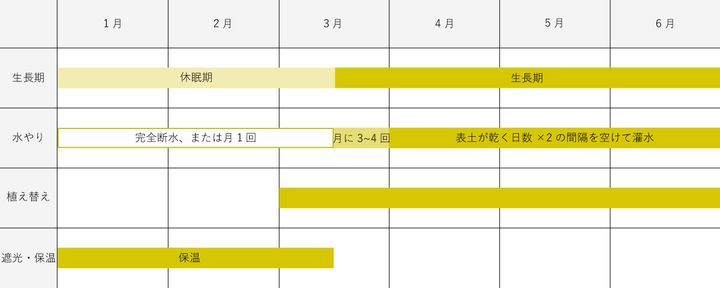 サボテンの育成カレンダー