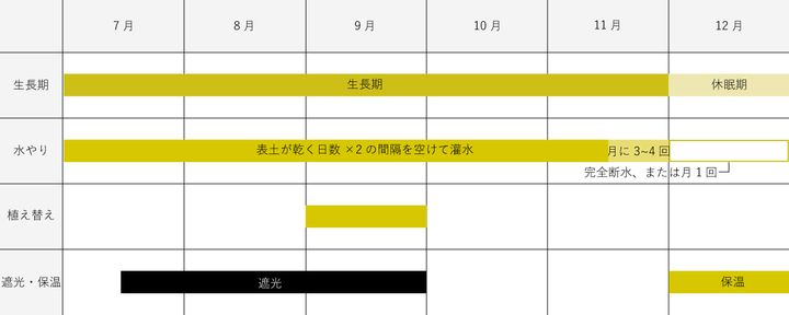 サボテンの育成カレンダー