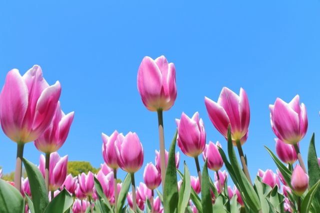 心理テスト 今月取り組むべき課題 ウェブサイトGLOW