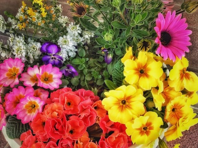 ウェブサイトGLOW Onlineで人気の心理テスト あなたが取り組むべき課題は何？