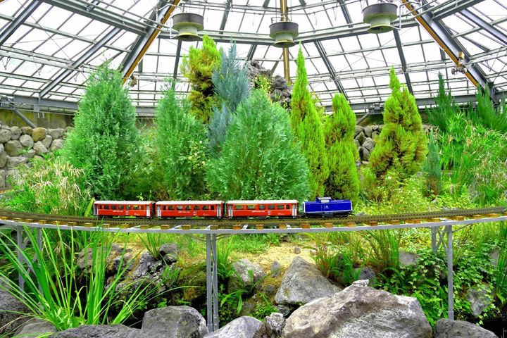 ミニチュア鉄道は実際に走らせることができる