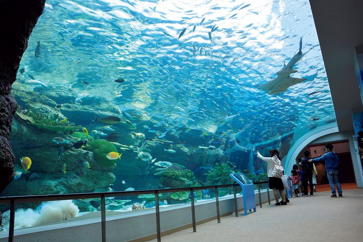 愛知〈名古屋港水族館〉館内