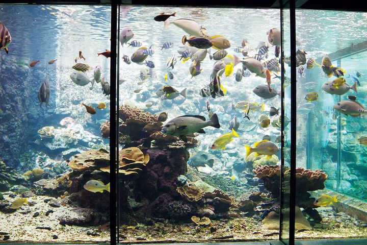 和歌山〈串本海中公園〉館内