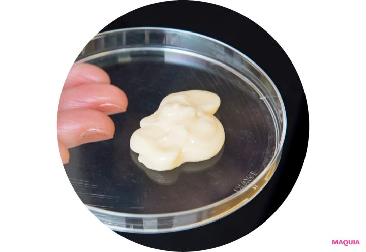 日本の髪研究、そして和草の力で「日本の髪を本質から考える」【エミトーーク 第32回 いち髪（いちかみ）】_8