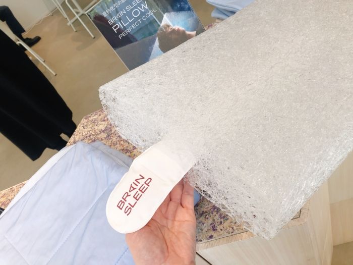 ブレインスリープ