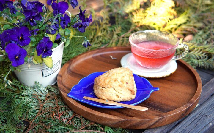 北鎌倉の自然に囲まれた古民家で味わうオリエンタルな薬膳菜食のお昼ごはん♪「一素茶庵」