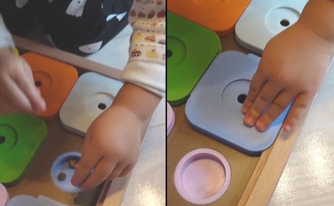 2才ちゃんが柴犬と遊びたかった本当の理由