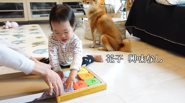 2才ちゃんが柴犬と遊びたかった本当の理由