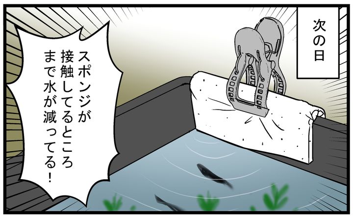 一晩でかなり水位が下がりました