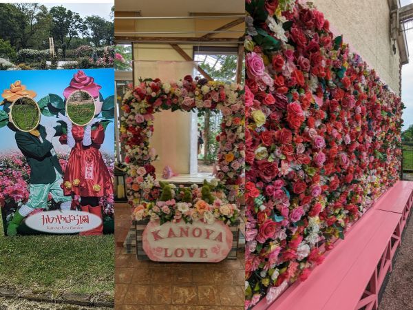 温室の写真スポット