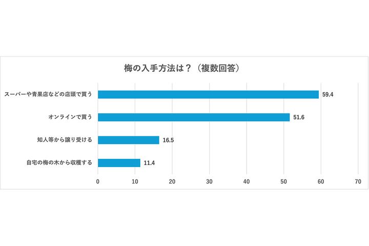 梅の入手方法は？